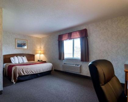 Econo Lodge Inn & Suites Canandaigua - image 7