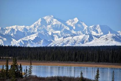 Backwoods Lodge - image 11