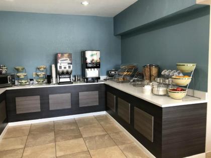 Best Western Palo Duro Canyon Inn & Suites - image 10