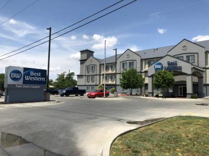Best Western Palo Duro Canyon Inn & Suites - image 14