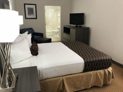 Best Western Palo Duro Canyon Inn & Suites - image 2