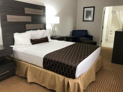 Best Western Palo Duro Canyon Inn & Suites - image 3