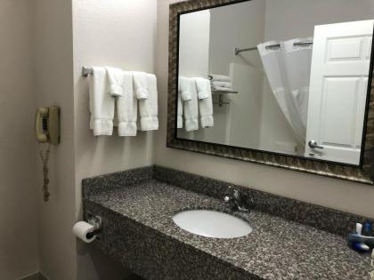 Best Western Palo Duro Canyon Inn & Suites - image 7
