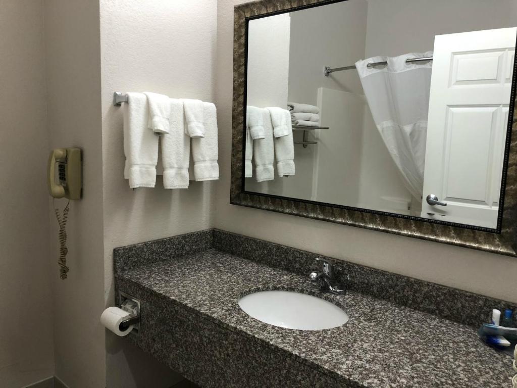 Best Western Palo Duro Canyon Inn & Suites - image 7