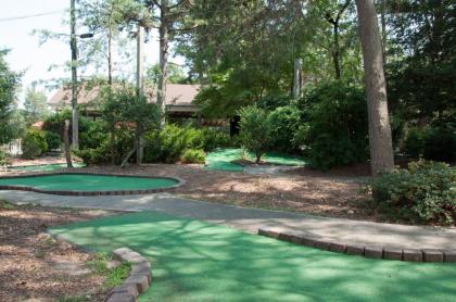 Sea Pines Park Model 1 - image 4