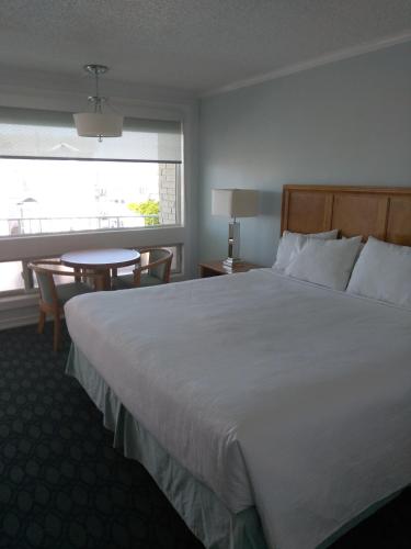 Sea Crest Inn - main image