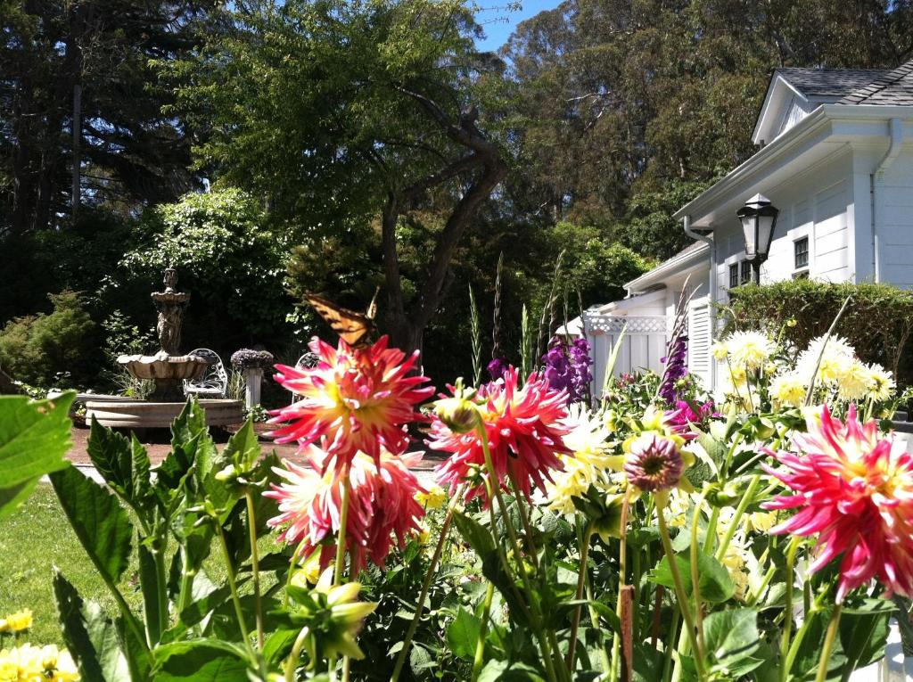 Monarch Cove Inn - main image