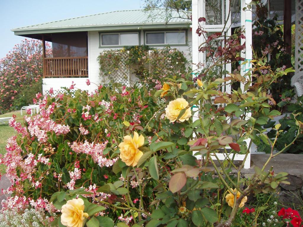 Belle Vue Kona Inc - image 7
