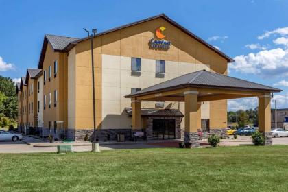 Comfort Inn  Suites Carbondale University Area Carbondale