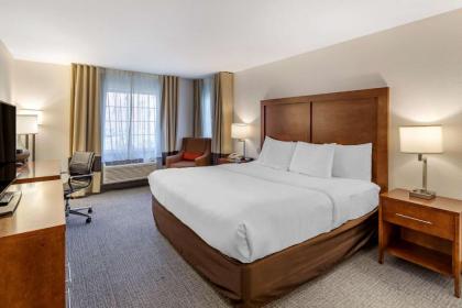 Comfort Inn & Suites Carbondale - image 12