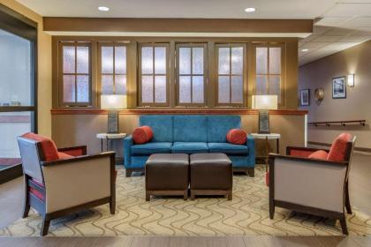 Comfort Suites Downtown Carlisle - image 2