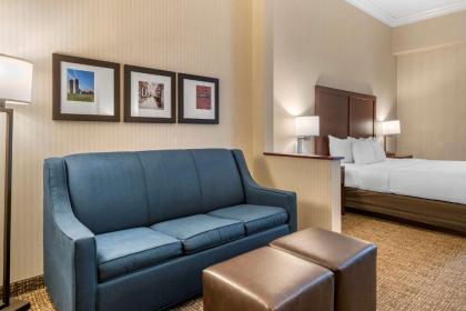 Comfort Suites Downtown Carlisle - image 4