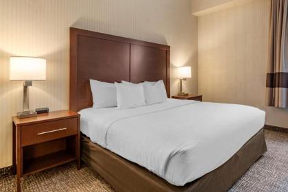 Comfort Suites Downtown Carlisle - image 6