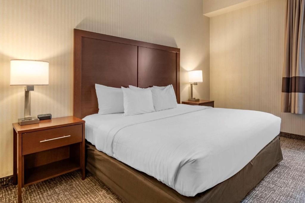 Comfort Suites Downtown Carlisle - image 6
