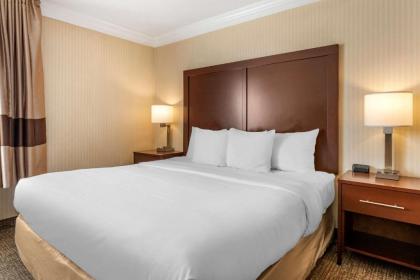Comfort Suites Downtown Carlisle - image 9