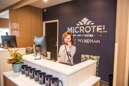 Microtel Inn & Suites by Wyndham Carlisle - image 14