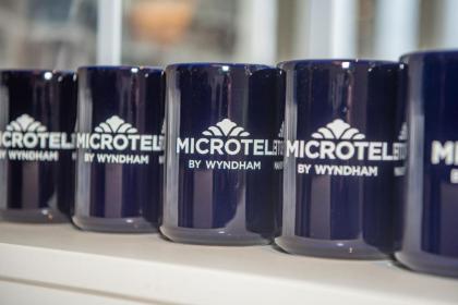 Microtel Inn & Suites by Wyndham Carlisle - image 2