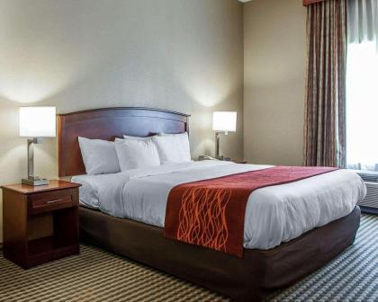 Comfort Inn & Suites Carneys Point - image 8