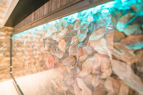 Ciqala Luxury Suites - San Juan - image 2