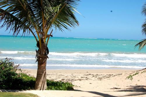 Isla Verde by the Beach - main image