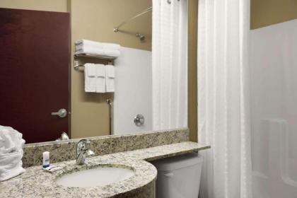 Microtel Inn and Suites Carrollton - image 6