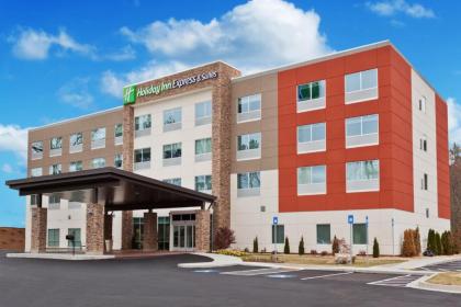 Holiday Inn Express & Suites - Cartersville an IHG Hotel - image 15