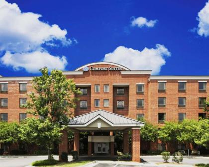 Comfort Suites Regency Park North Carolina