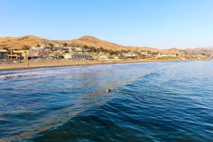 Oceanfront Delight - image 10