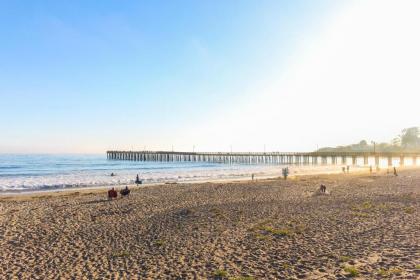 Oceanfront Dream - image 15