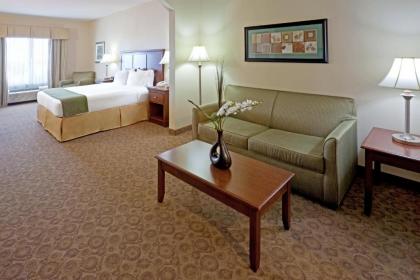 Holiday Inn Express Hotel & Suites Cedar Hill an IHG Hotel - image 10