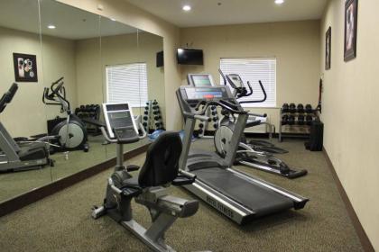 Holiday Inn Express Hotel & Suites Cedar Hill an IHG Hotel - image 3