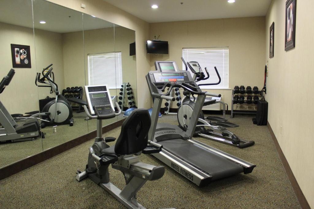 Holiday Inn Express Hotel & Suites Cedar Hill an IHG Hotel - image 3