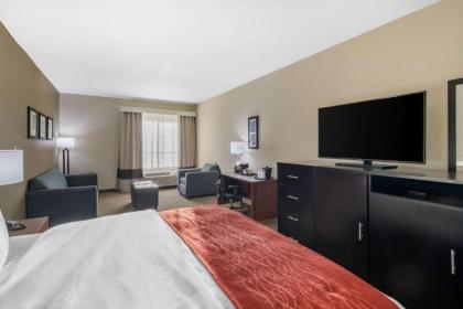 Comfort Inn & Suites Cedar Hill Duncanville - image 10