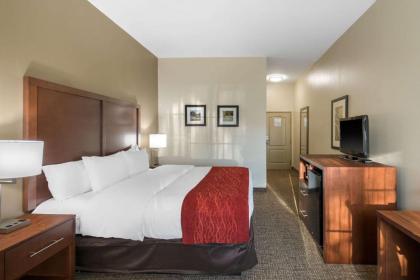 Comfort Inn & Suites Cedar Hill Duncanville - image 12