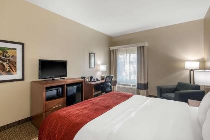 Comfort Inn & Suites Cedar Hill Duncanville - image 13