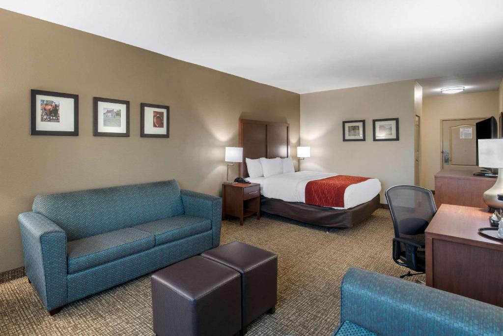 Comfort Inn & Suites Cedar Hill Duncanville - image 6