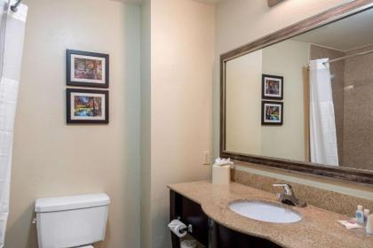 Comfort Inn & Suites Cedar Hill Duncanville - image 8