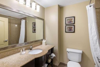 Comfort Inn & Suites Cedar Hill Duncanville - image 9