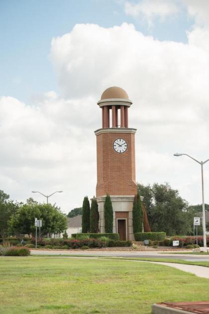 SpringHill Suites by Marriott Austin Cedar Park - image 11