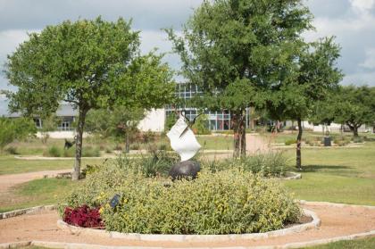 SpringHill Suites by Marriott Austin Cedar Park - image 12
