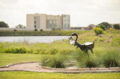 SpringHill Suites by Marriott Austin Cedar Park - image 13