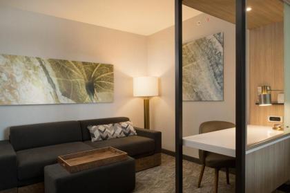 SpringHill Suites by Marriott Austin Cedar Park - image 3