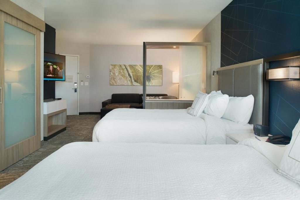 SpringHill Suites by Marriott Austin Cedar Park - image 5