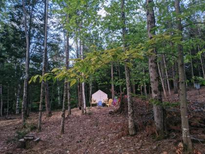 Tentrr Signature Site - Switchback at Butter Hill Hideaway - image 10