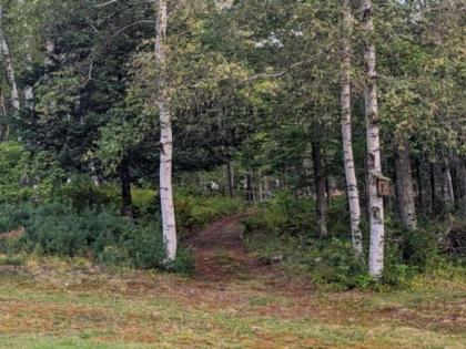 Tentrr Signature Site - Sunnyside at Butter Hill Hideaway - image 10