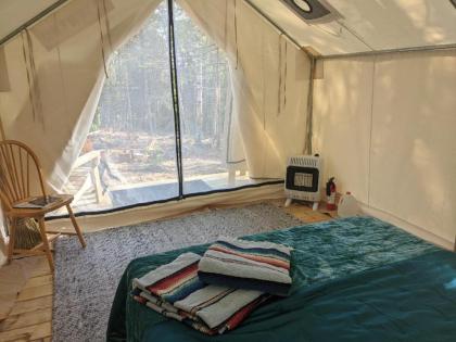Tentrr Signature Site - Sunnyside at Butter Hill Hideaway - image 11