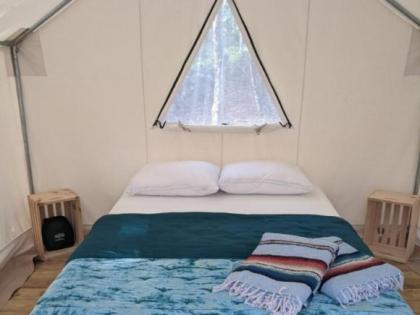 Tentrr Signature Site - Sunnyside at Butter Hill Hideaway - image 12
