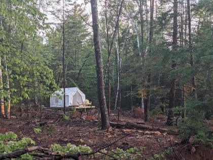 Tentrr Signature Site - Sunnyside at Butter Hill Hideaway - image 2