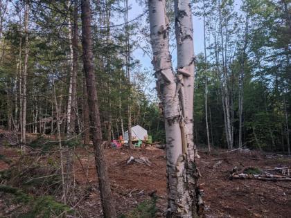 Tentrr Signature Site - Sunnyside at Butter Hill Hideaway - image 8