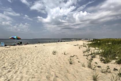 Contemporary Cottage - Walk to Craigville Beach! - image 6